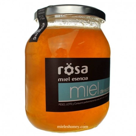 Artisan Eucalyptus Honey (Spain)