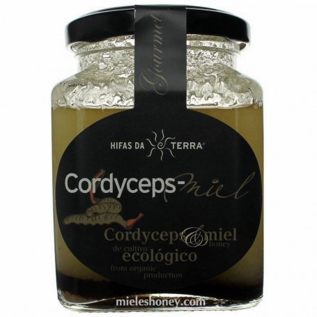 Hifas da Terra. Comprar Cordyceps-Miel (Miel de Acacia con Cordyceps)